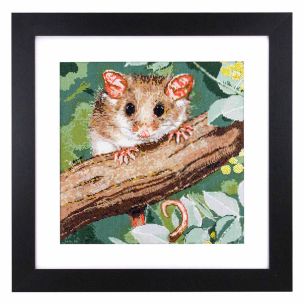 **-Natalie Jane Parker Counted Cross Stitch Kit-** Pygmy Possum 34x34cm ##-Leuts 583100-NJP-001-##