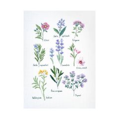 **-Dmc Designer Cross Stitch Kit-** Nathalie Herbs 23.7x35cm ##-Dmc 119227-BK1978-##