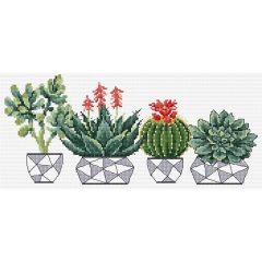 **-Dmc Succulents Ccs 32x14.5cm-** ##-Dmc 585304-##