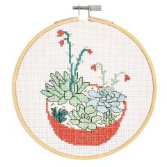 **-Ind Succulents Ccs Kit 15cm Round Pk3-** ##-Dmc BK1834L-##