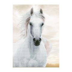 **-Diamond Dotz Crystal Art Kit-** Imperial Stallion, 48 x 65cm (18.9 x 25.6in) ##-Diamond Dotz DD10-026-##