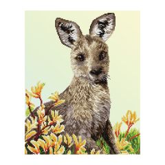 **-Diamond Dotz Crystal Art Kit-** Carlie Edwards Kangaroo And Kangaroo Paw Flower, 51 x 41cm ##-Diamond Dotz DD10-057-##