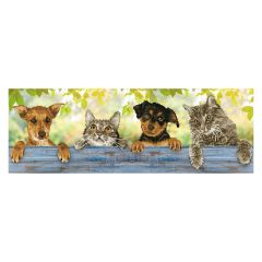 **-Diamond Dotz Crystal Art Kit-** Hang In There, 81 x 28cm ##-Diamond Dotz DD9-044-##